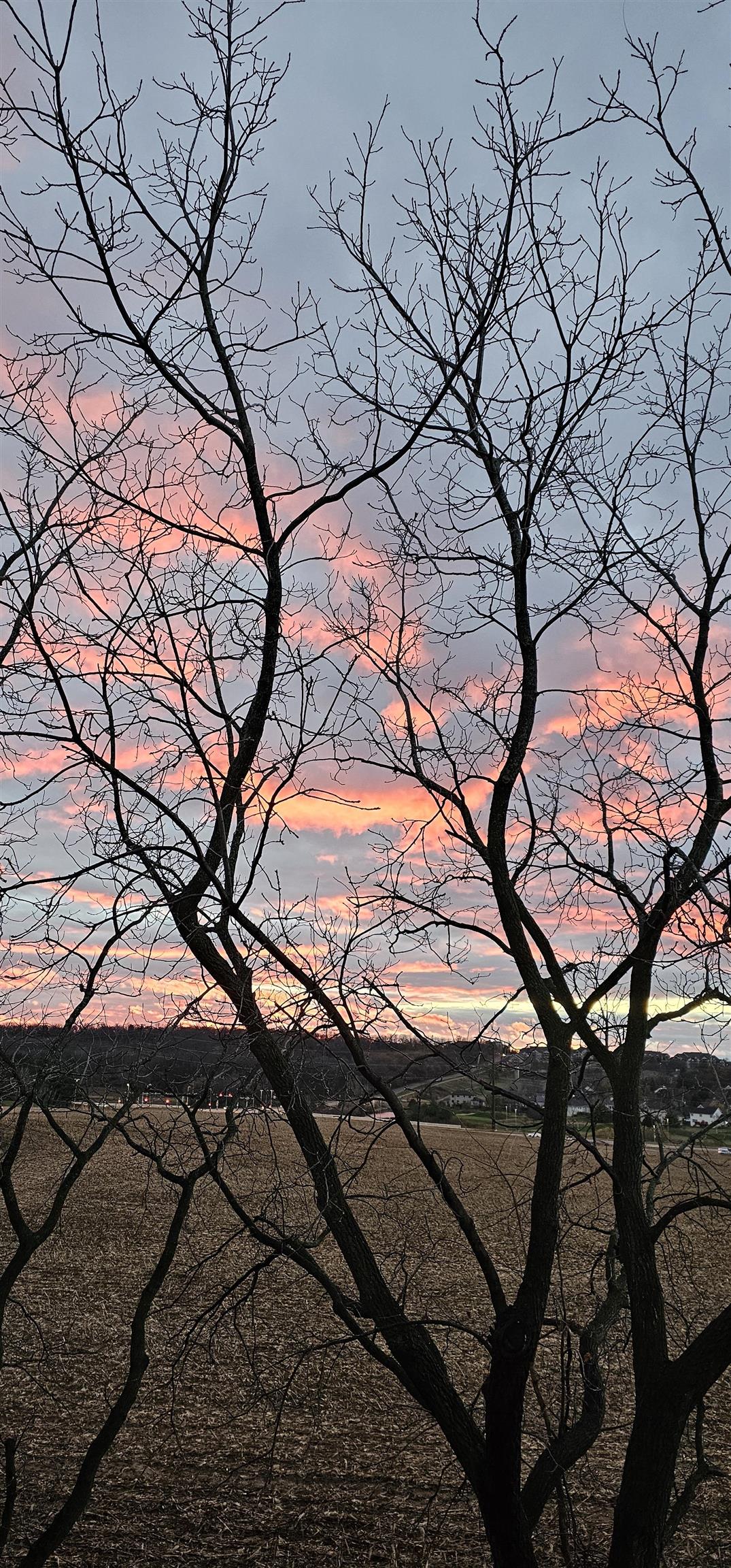 8253 Mayo Drive, Unit 310 Madison, WI 53719 - Photo 22 of 22