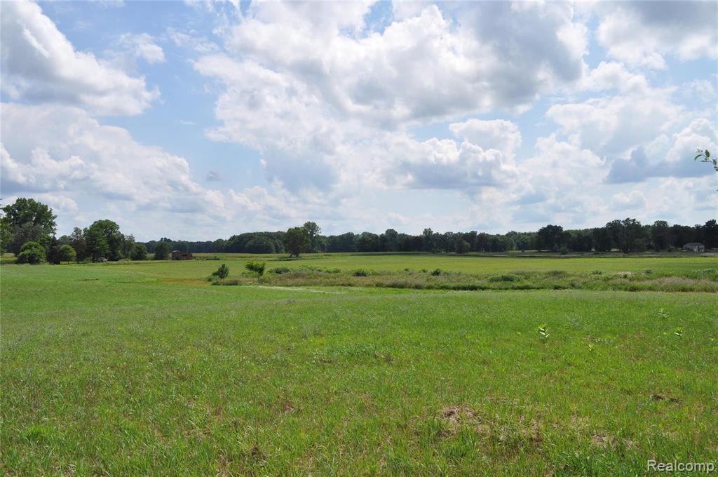 0 West Coon Lake Road Webberville, MI 48892 - Photo 24 of 38