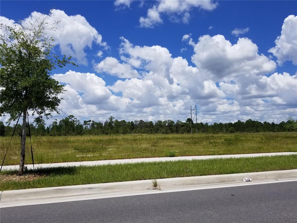 South Apopka Vineland Road Orlando, FL 32837 - Photo 3 of 3 a view of a lake with houses in the background