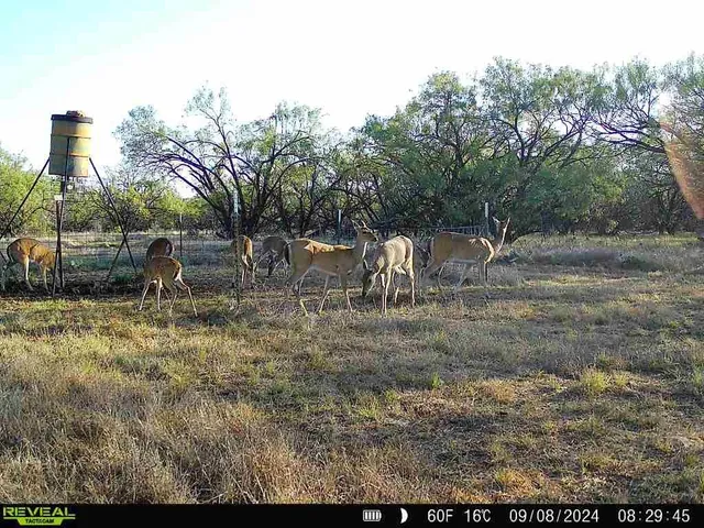 $1,450,000 | 1116 County Road 107, Cisco, TX 76437