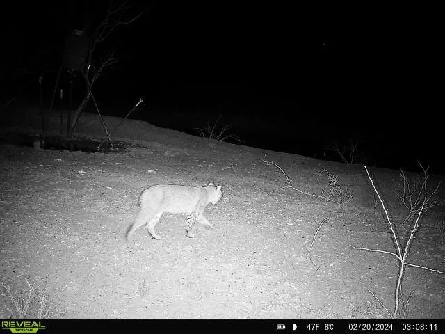 $1,450,000 | 1116 County Road 107, Cisco, TX 76437