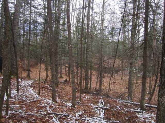 Lot 3 Timberline Road Mercer, WI 54547 - Photo 7 of 9 Gallery Image 7