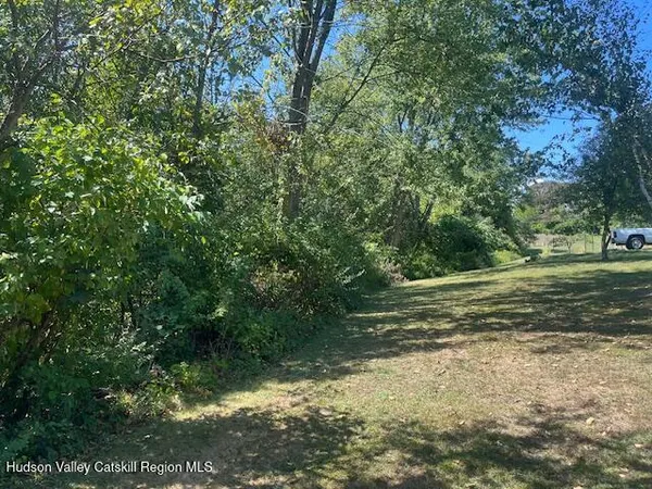 a view of a yard with a tree