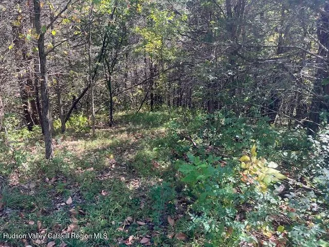 $159,000 | 6568 Hill Street, Hudson, NY 12534