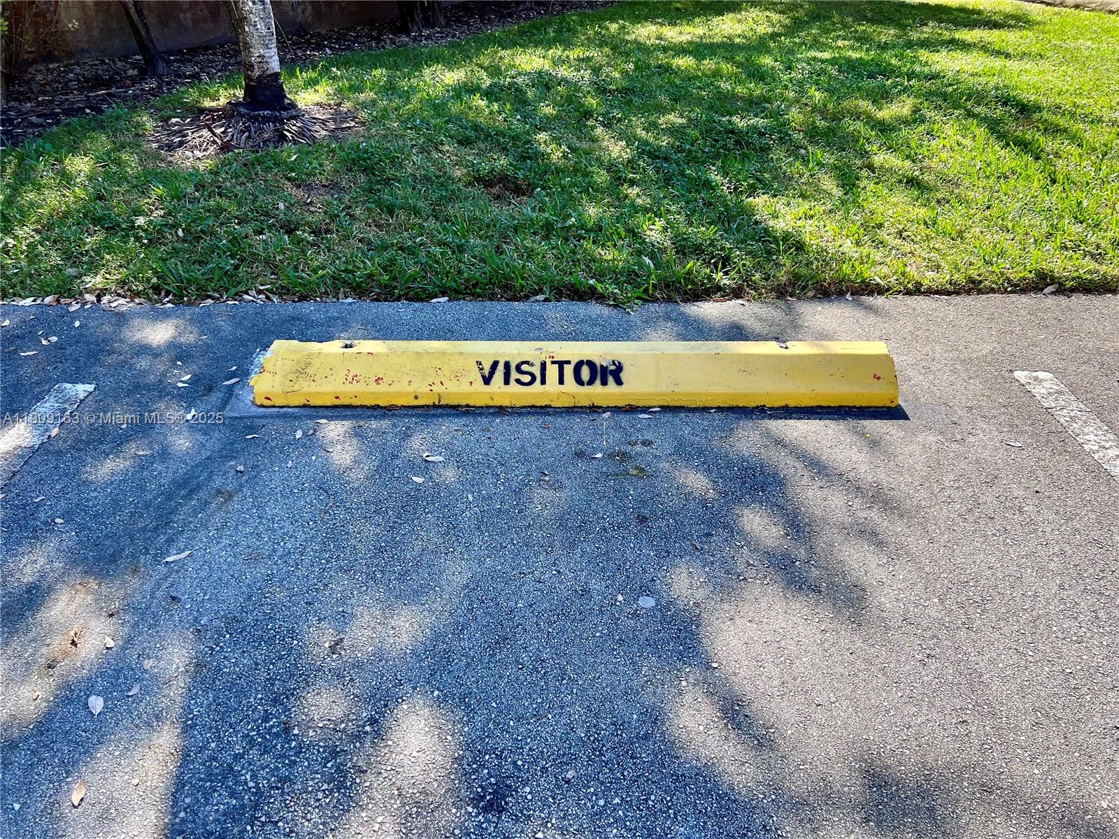 10037 Southwest 77th Court Miami, FL 33156 - Photo 55 of 70 a view of a street with large trees