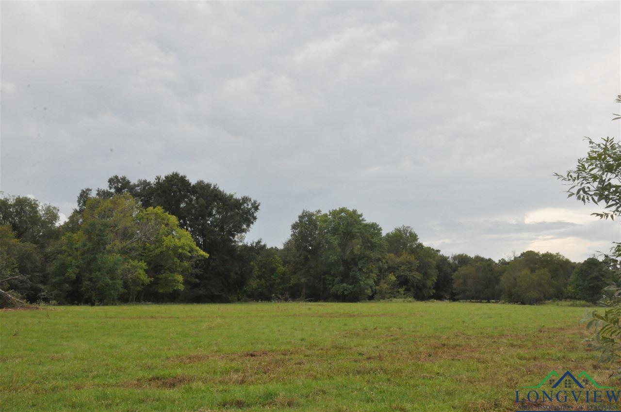 County Rd County Road Gary City, TX 75643 - Photo 9 of 10 Gallery Image 9