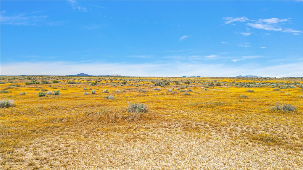 7 Near Powerline Road Boron, CA 93516 - Photo 14 of 16 a view of an ocean