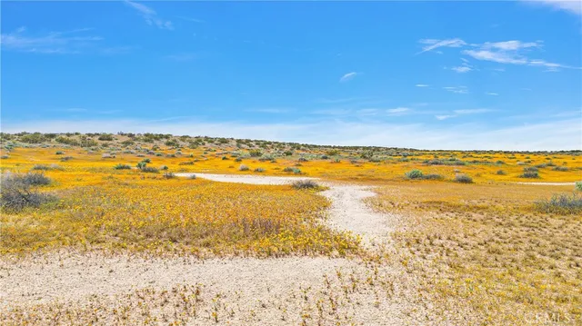 $29,000 | 7 Near Powerline Road, Boron, CA 93516