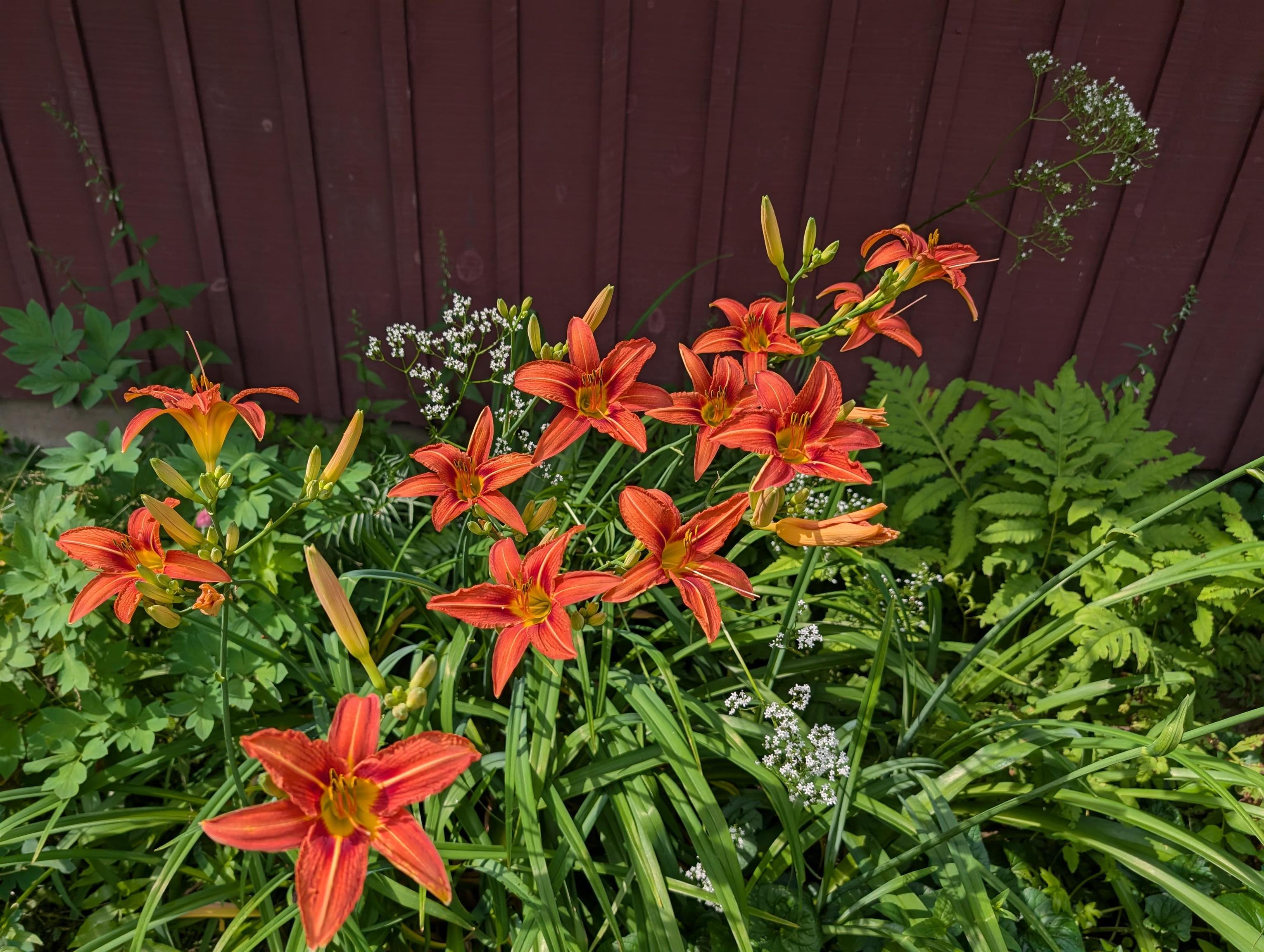 163 Martin Meadow Road Plainfield, VT 05667 - Photo 51 of 59