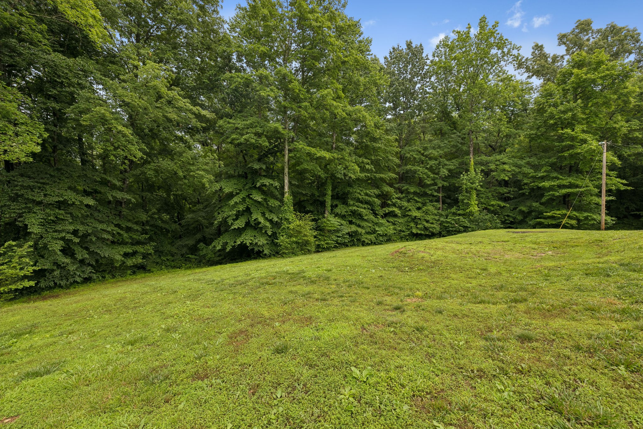7916 East Plunders Creek Road Dickson, TN 37055 - Photo 45 of 52