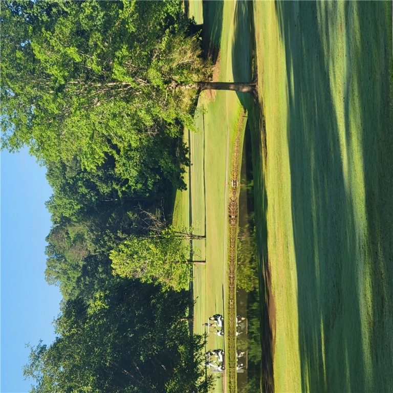 343 Gauley Falls Road Pickens, SC 29671 - Photo 15 of 20