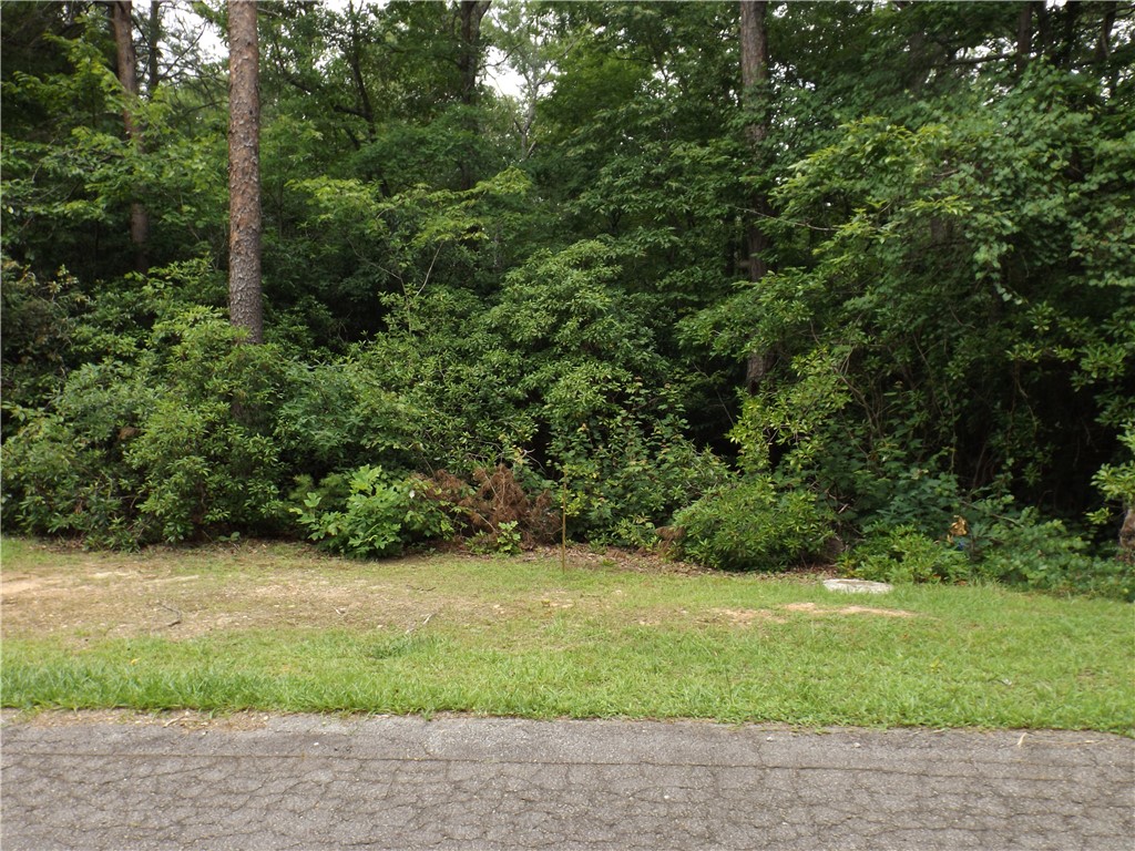 343 Gauley Falls Road Pickens, SC 29671 - Photo 2 of 20