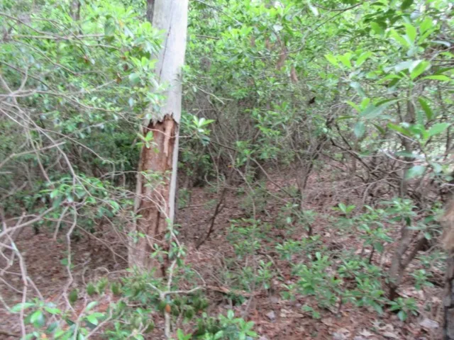 $16,900 | 343 Gauley Falls Road, Pickens, SC 29671