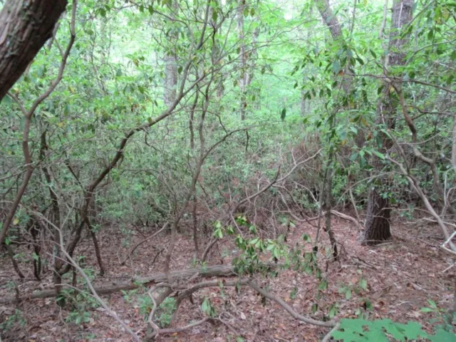 $16,900 | 343 Gauley Falls Road, Pickens, SC 29671