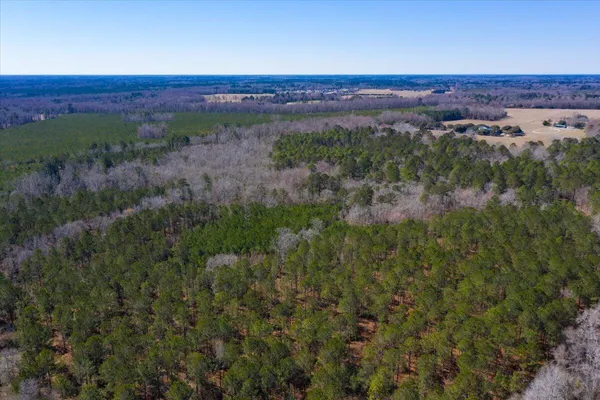 $8,200,000 | 0 Beulah Cuttino Road, Sumter, SC 29150