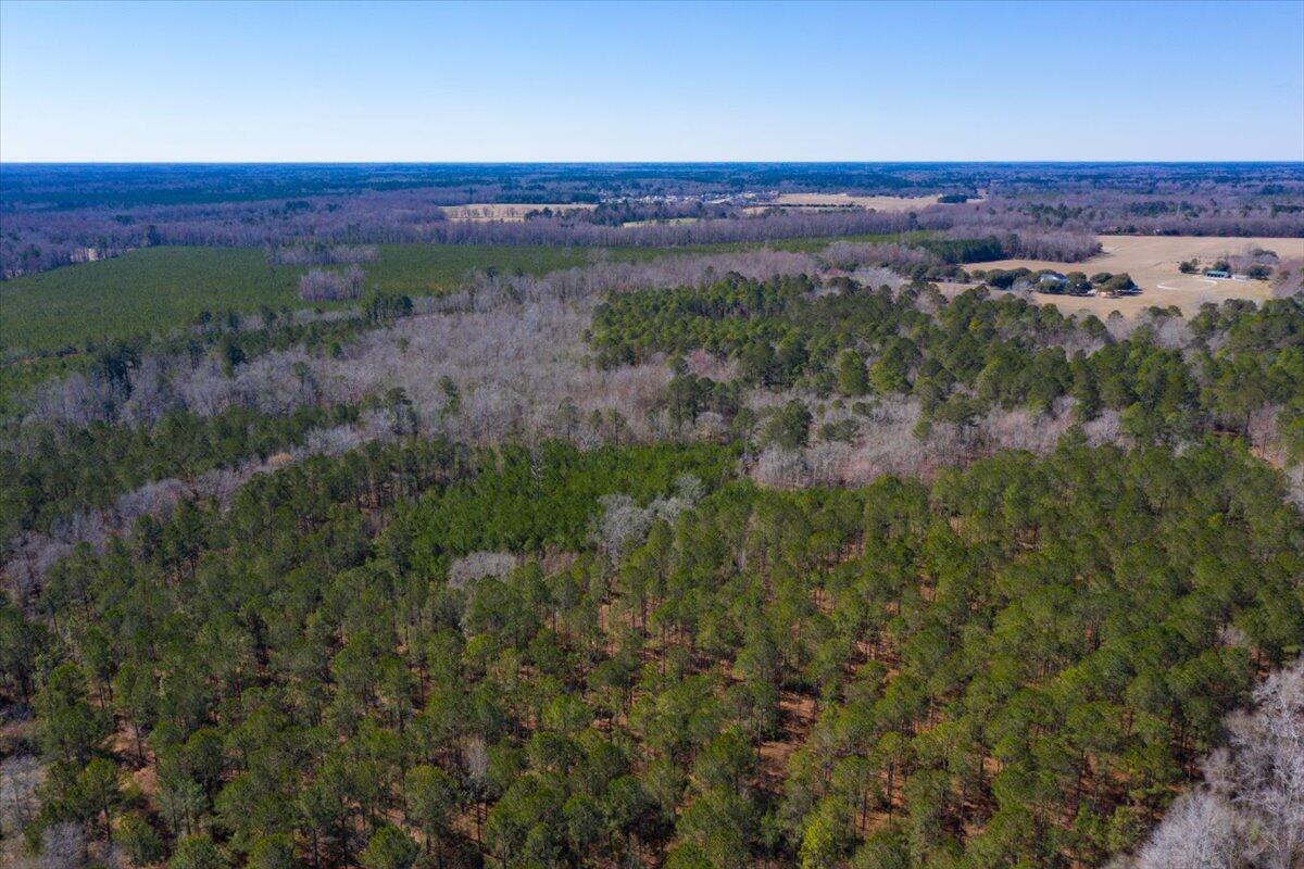0 Beulah Cuttino Road Sumter, SC 29150 - Photo 11 of 26 10-EYE-11249