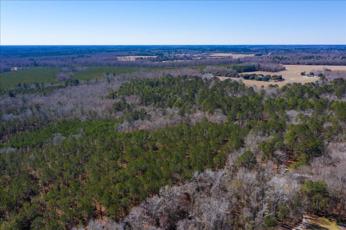 0 Beulah Cuttino Road Sumter, SC 29150 - Photo 12 of 26 11-EYE-11250