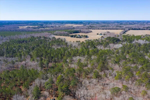 $8,200,000 | 0 Beulah Cuttino Road, Sumter, SC 29150