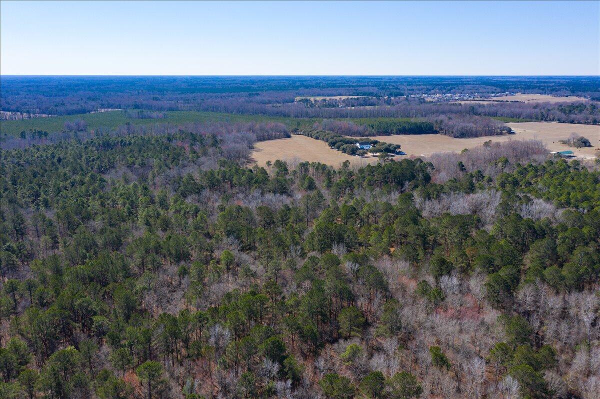 0 Beulah Cuttino Road Sumter, SC 29150 - Photo 15 of 26 14-EYE-11253