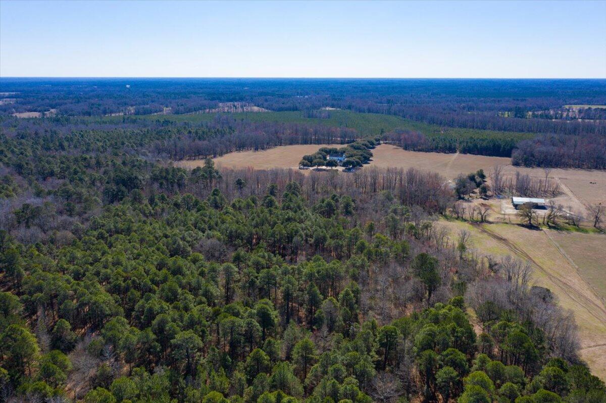 0 Beulah Cuttino Road Sumter, SC 29150 - Photo 17 of 26 16-EYE-11255