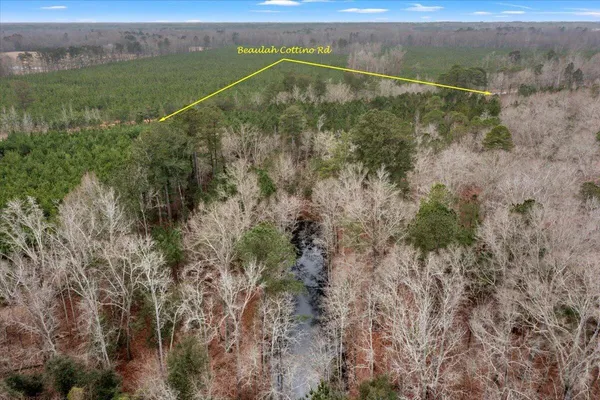 $8,200,000 | 0 Beulah Cuttino Road, Sumter, SC 29150