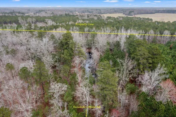 $8,200,000 | 0 Beulah Cuttino Road, Sumter, SC 29150