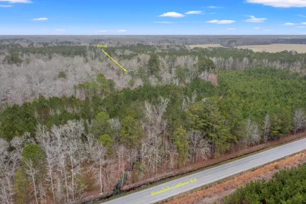 $8,200,000 | 0 Beulah Cuttino Road, Sumter, SC 29150