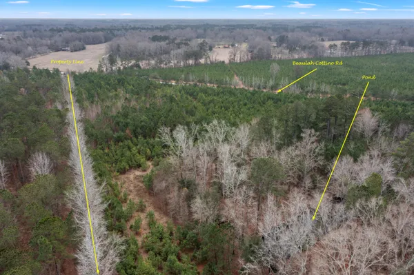 $8,200,000 | 0 Beulah Cuttino Road, Sumter, SC 29150