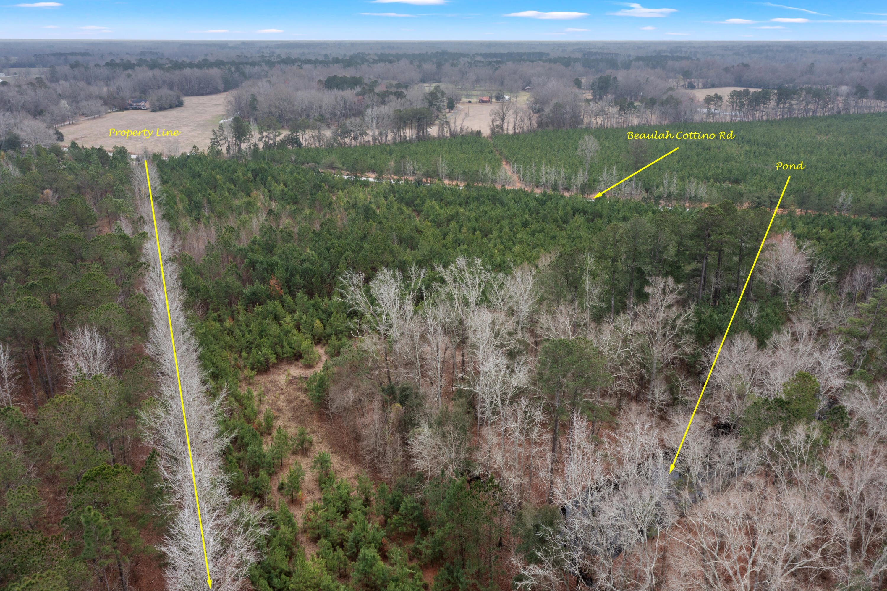 0 Beulah Cuttino Road Sumter, SC 29150 - Photo 26 of 26 41-EYE-11244