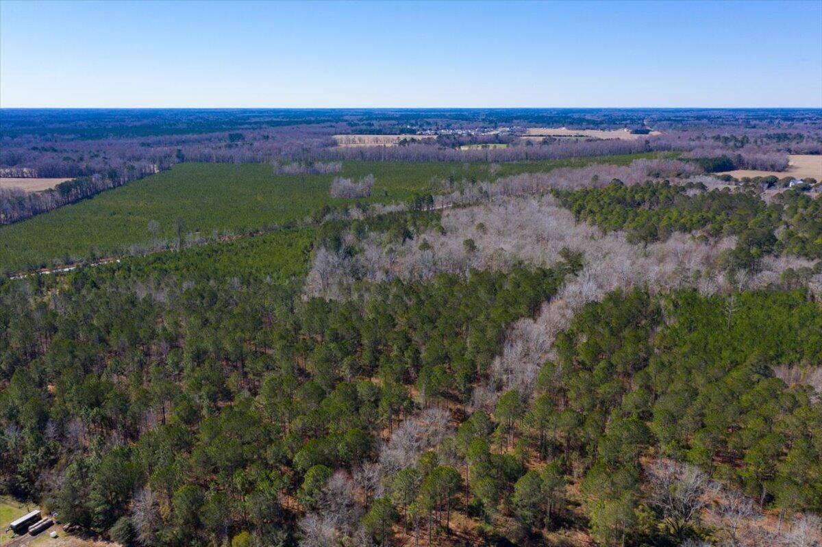 0 Beulah Cuttino Road Sumter, SC 29150 - Photo 10 of 26 09-EYE-11248