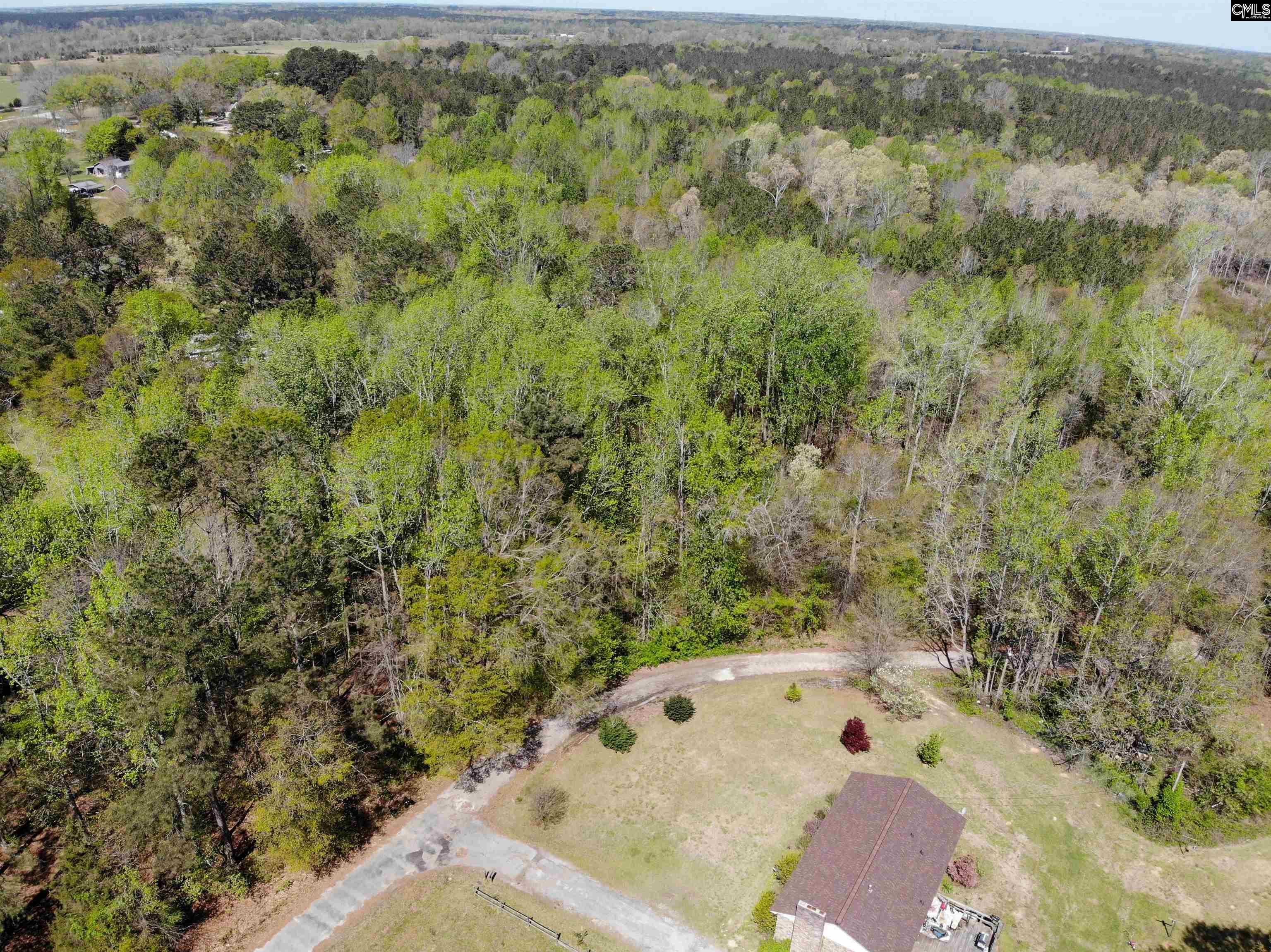 Tbd James Road Joanna, SC 29351 - Photo 57 of 82
