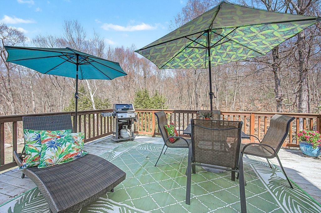 6 Field Pond Road Milford, MA 01757 - Photo 35 of 42 Gallery Image 35
