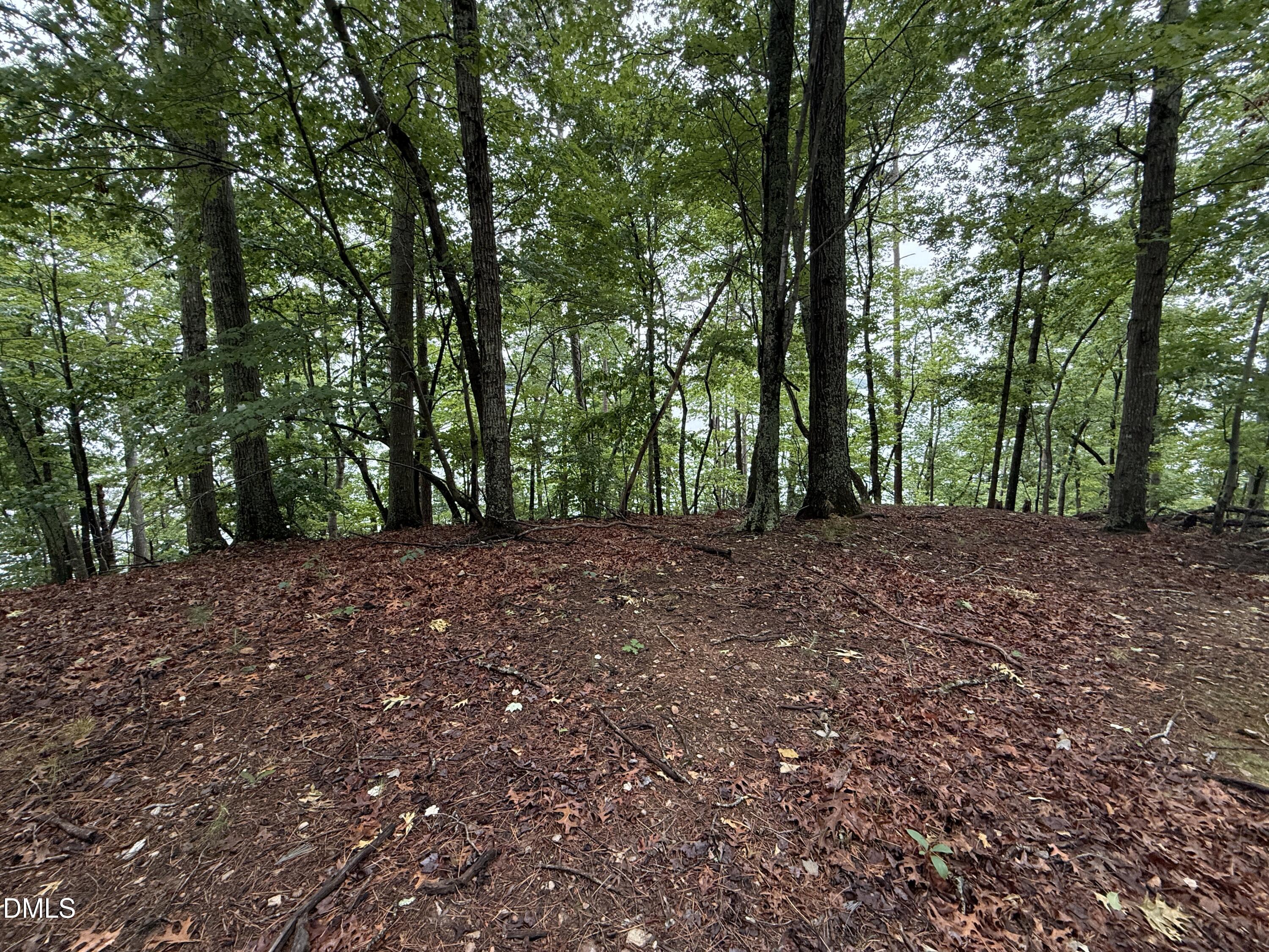 0 Edwards Ridge Road Littleton, NC 27850 - Photo 16 of 24