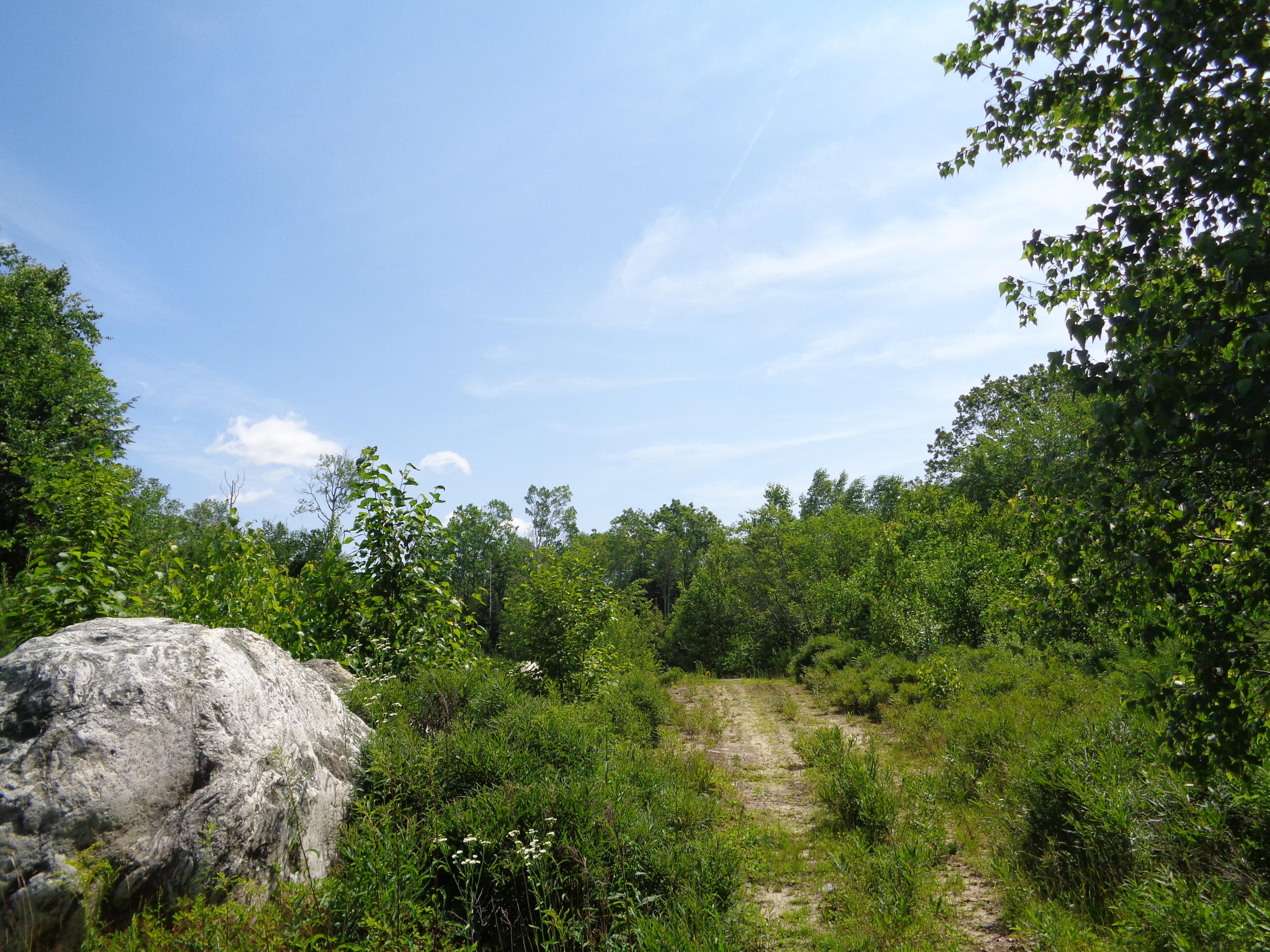 0 Jones Road Wiscasset, ME 04578 - Photo 14 of 15 lot