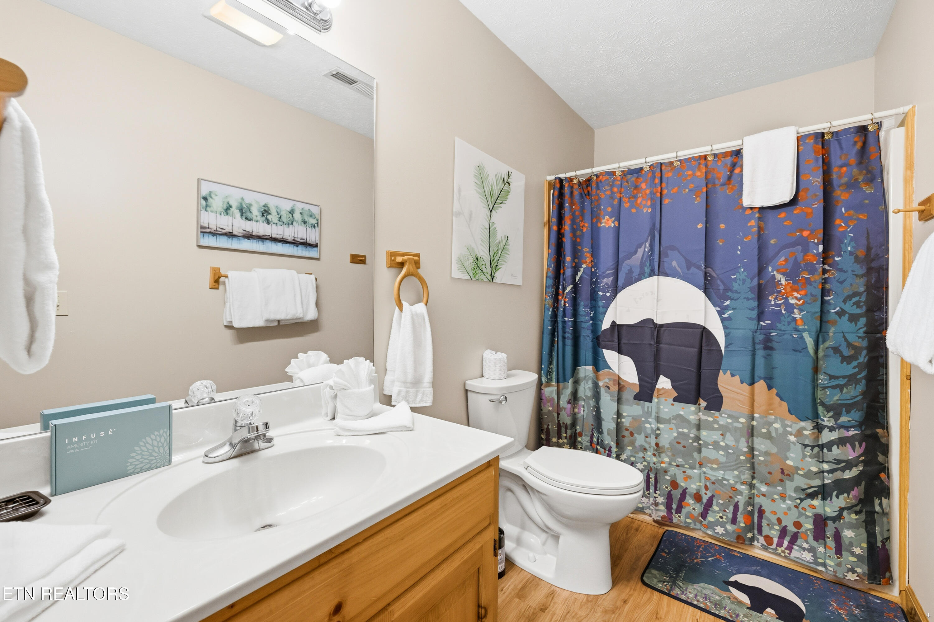 2458 Majestic View Way Sevierville, TN 37862 - Photo 35 of 46 Positive Perceptions-34