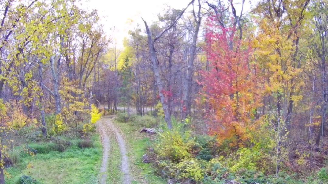 47802 Xylophone Road Garrison, MN 56450 - Photo 3 of 35