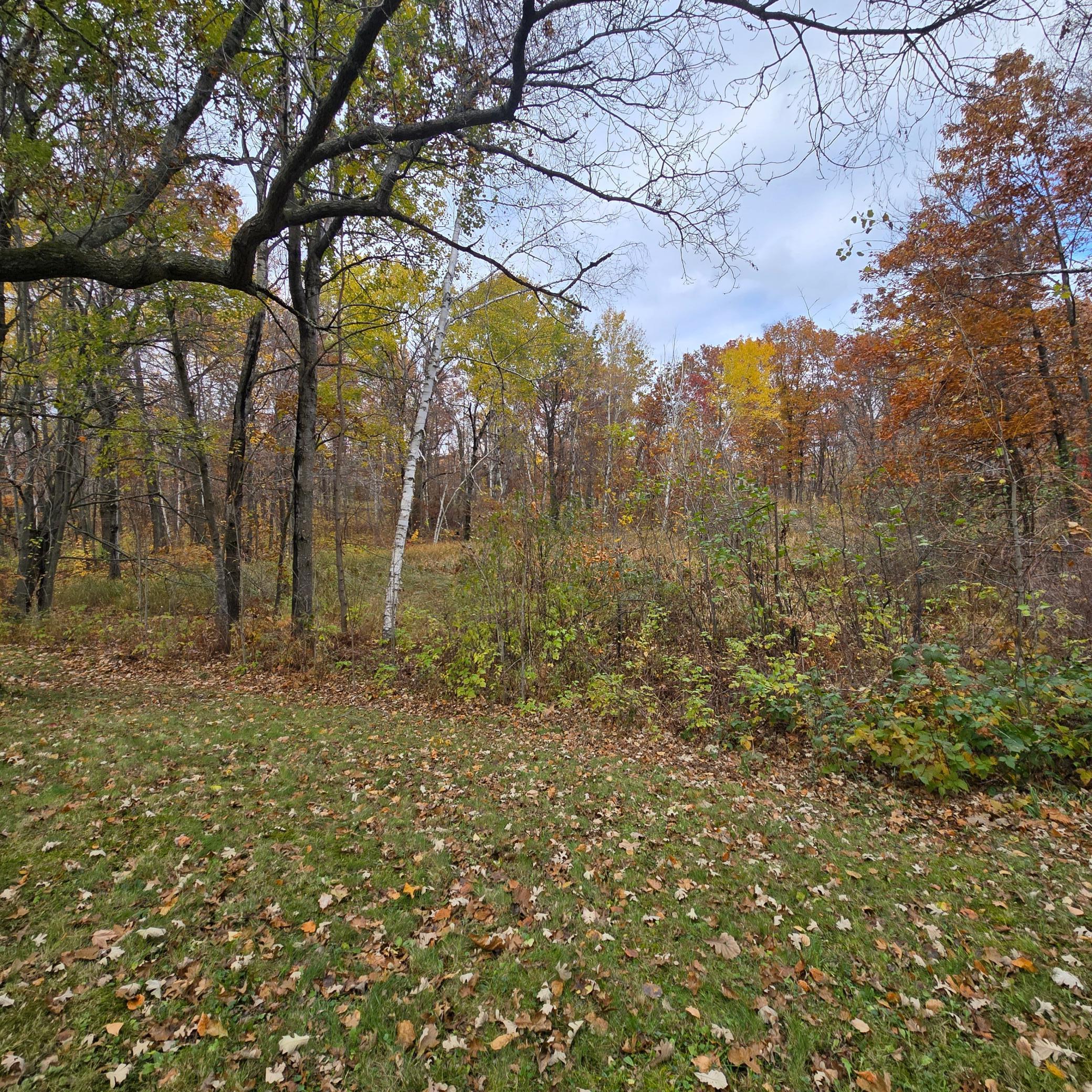 47802 Xylophone Road Garrison, MN 56450 - Photo 35 of 35