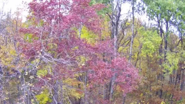 $250,000 | 47802 Xylophone Road, Garrison, MN 56450