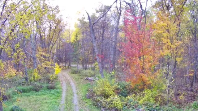 $250,000 | 47802 Xylophone Road, Garrison, MN 56450