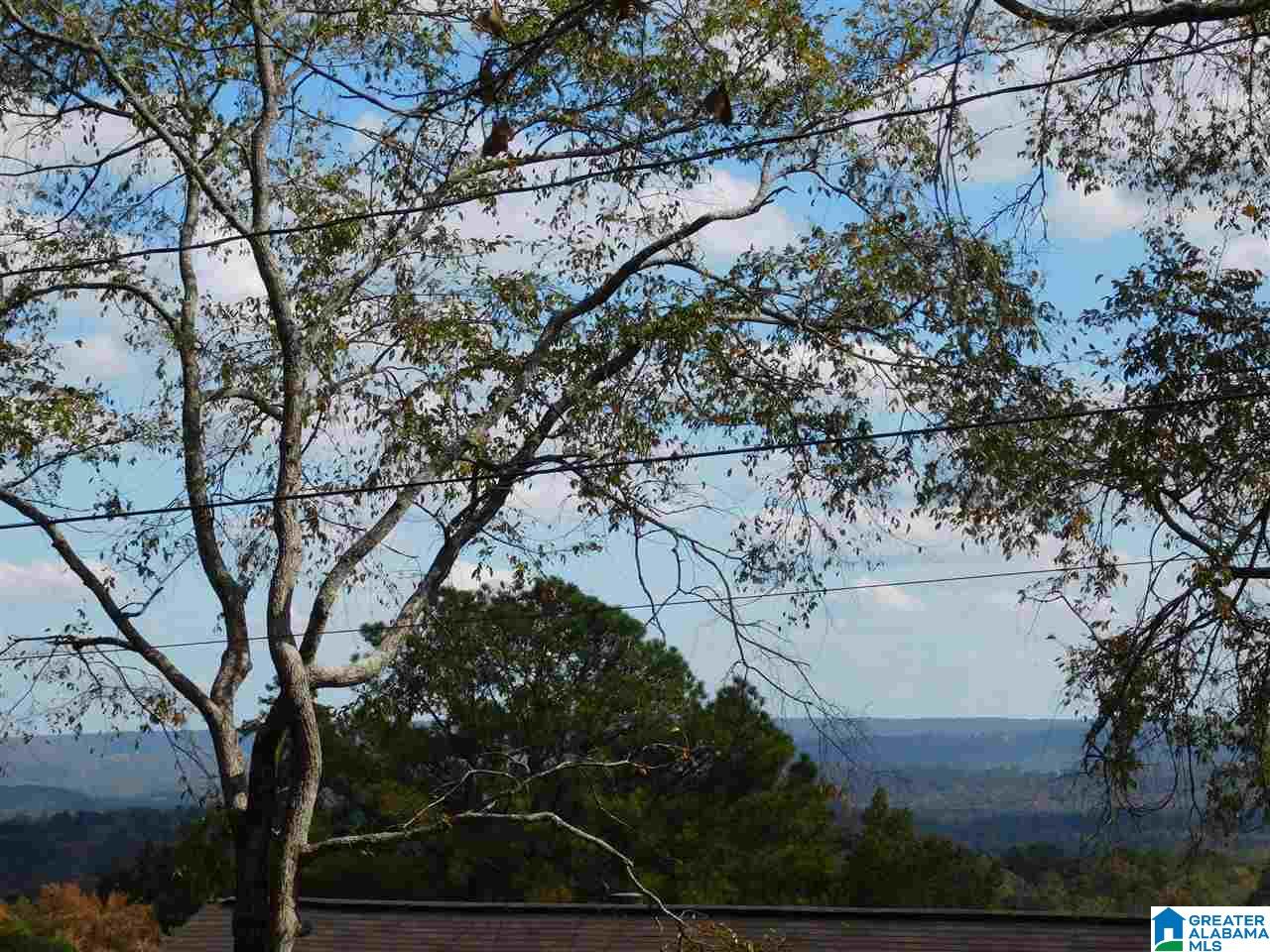 3305 Faring Road Birmingham, AL 35223 - Photo 38 of 44 Gallery Image 38
