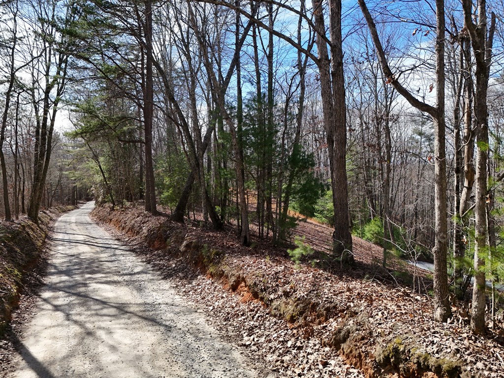 2.94-acr Padena Road Blue Ridge, GA 30513 - Photo 15 of 43 Gallery Image 15