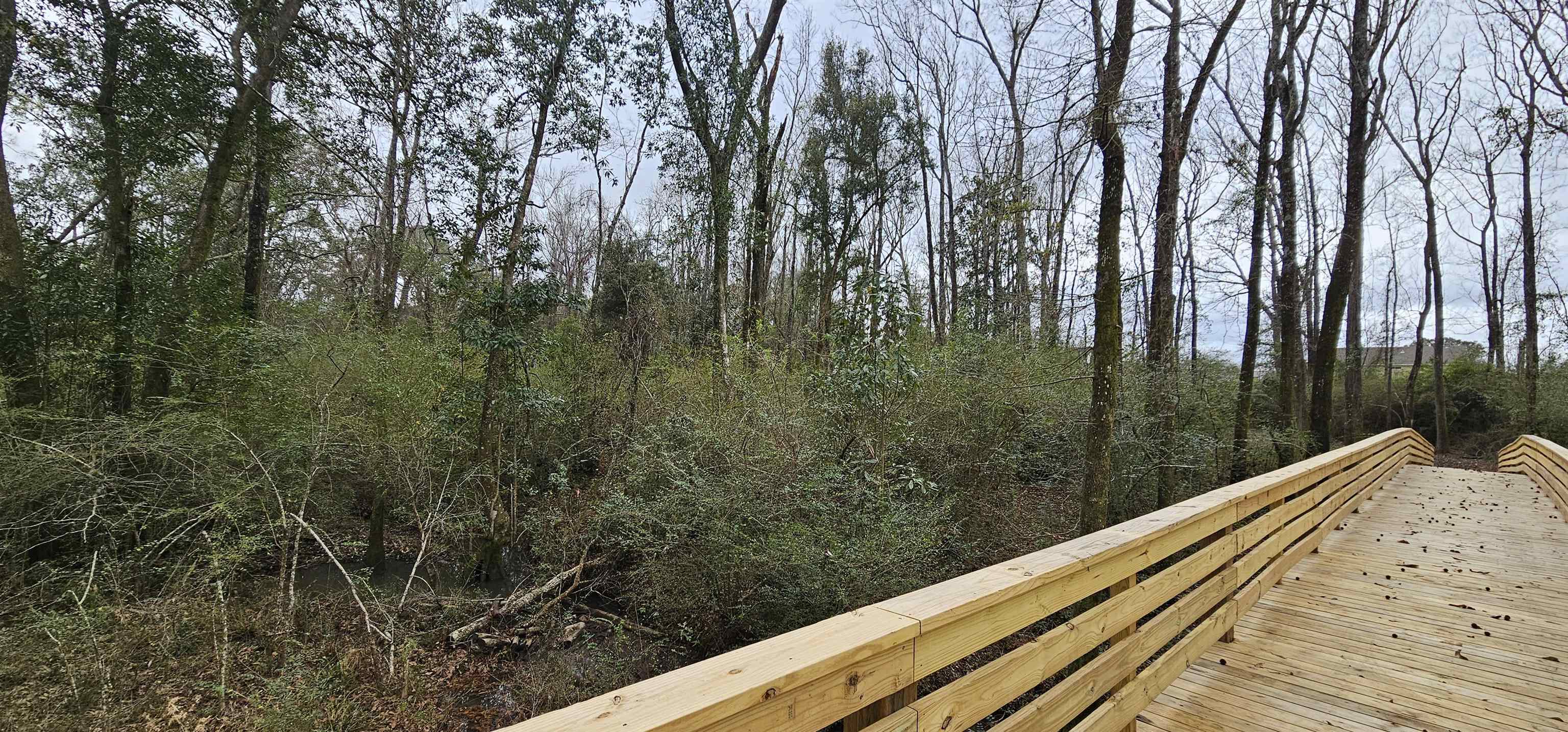 404 Meriwether Court Fairhope, AL 36532 - Photo 24 of 33