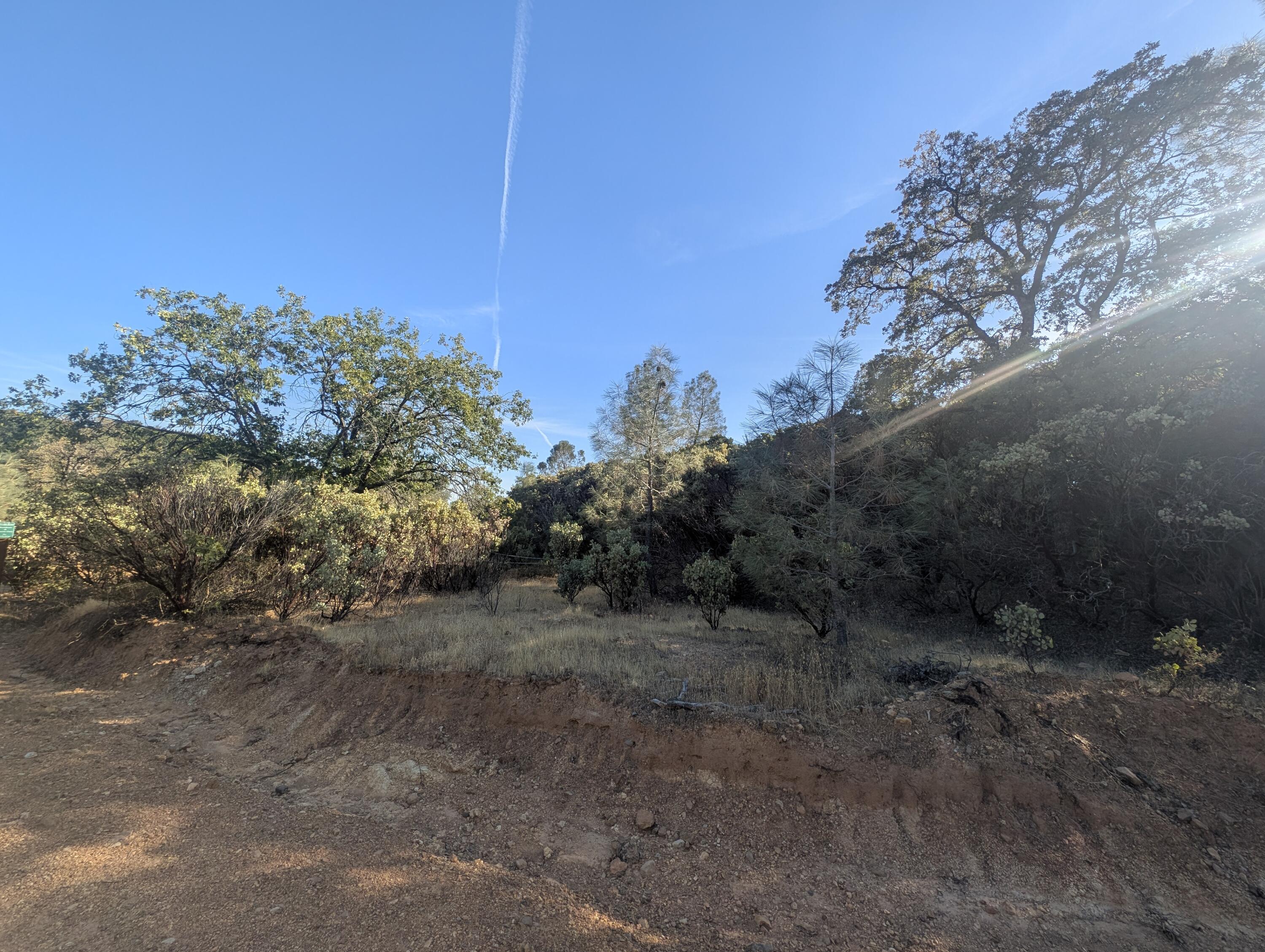 0 Rocky Top Road Bella Vista, CA 96008 - Photo 5 of 9 a view of a dry yard with trees in the background