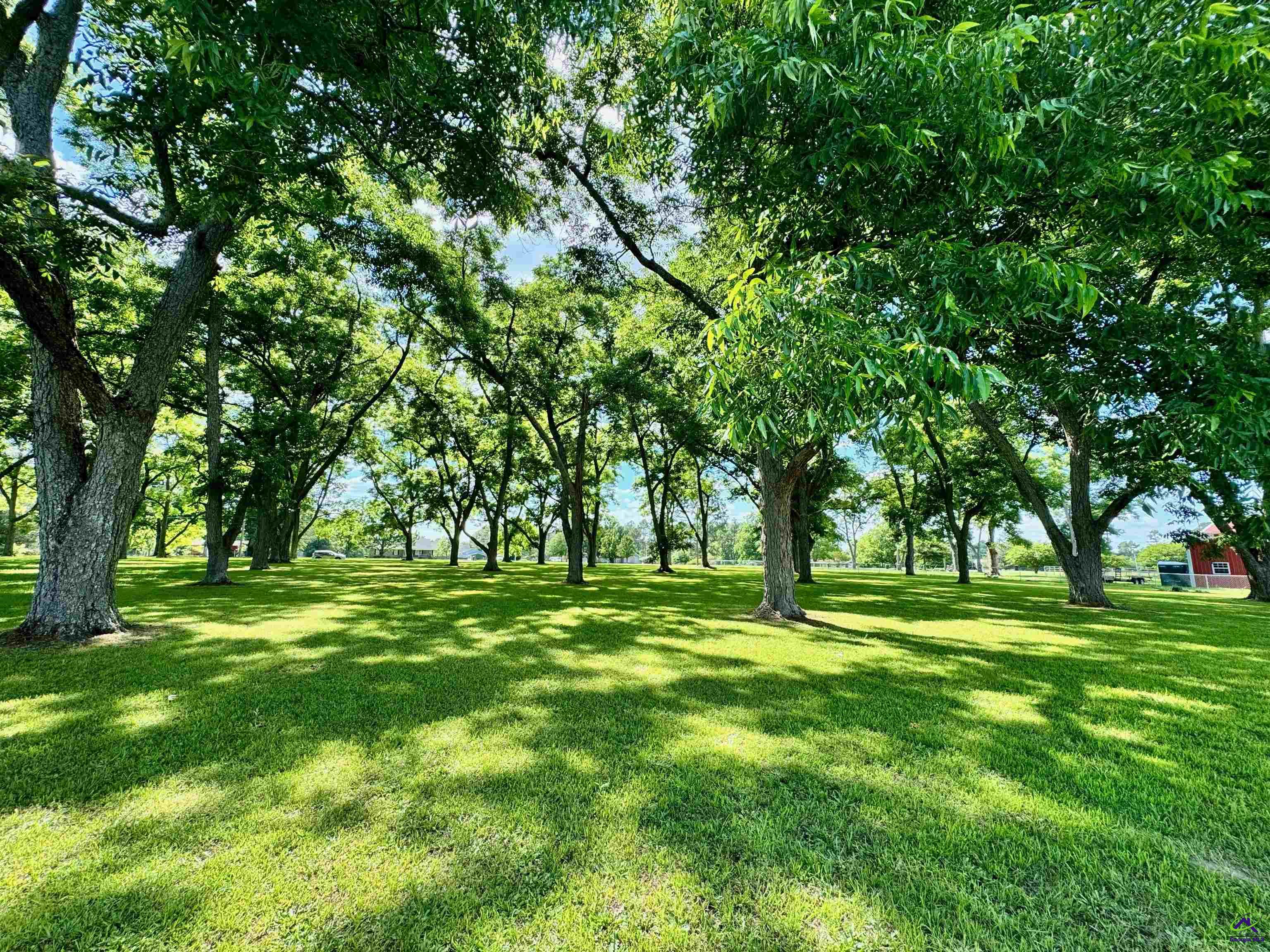2.75 Acres Jones Road Byron, GA 31008 - Photo 1 of 5