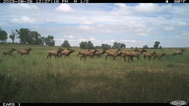 $2,650,000 | 3701 County Road 230, Walsenburg, CO 81089