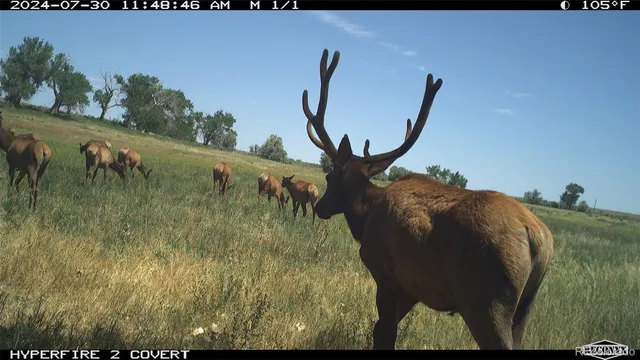 $2,650,000 | 3701 County Road 230, Walsenburg, CO 81089