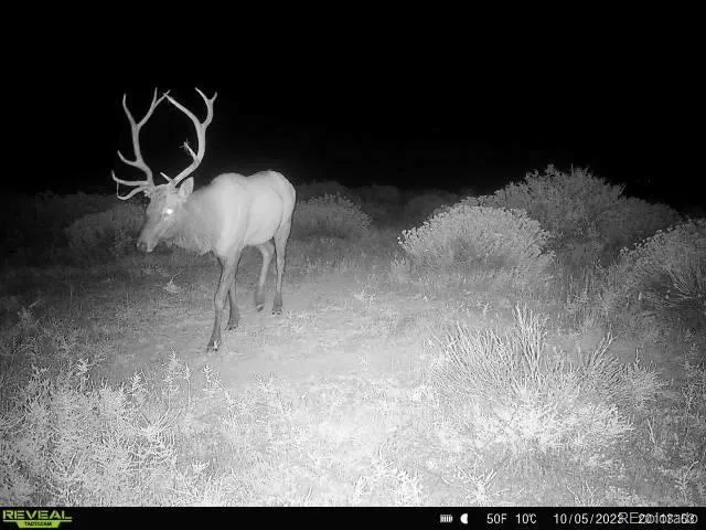 $2,650,000 | 3701 County Road 230, Walsenburg, CO 81089