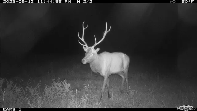 $2,650,000 | 3701 County Road 230, Walsenburg, CO 81089