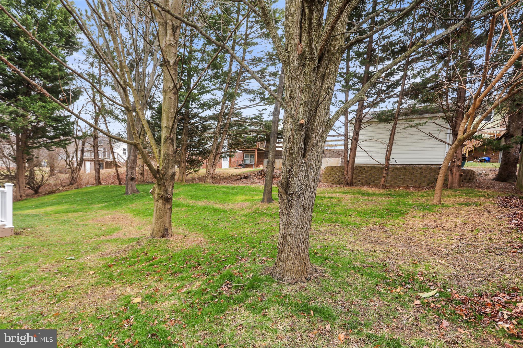 8 Magnolia Lane Hanover, PA 17331 - Photo 35 of 38 a tree in the middle of a yard
