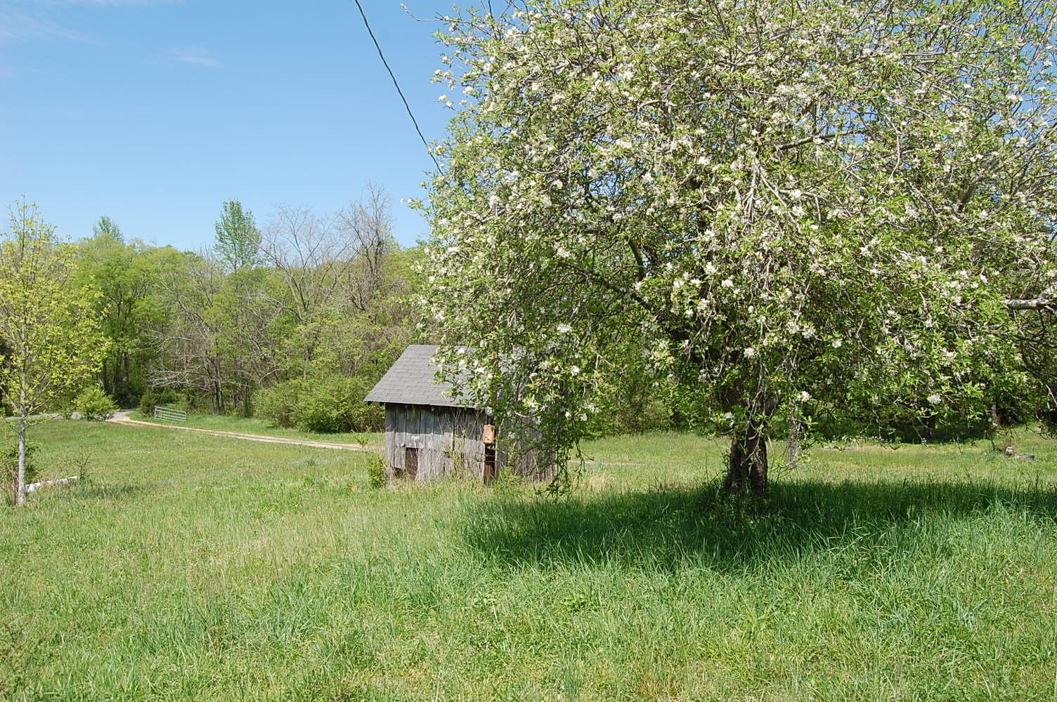 179 Gun Shop Road Dunlap, TN 37327 - Photo 8 of 39 179 Gun Shop Rd (9)